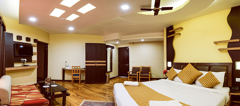 Deluxe Hotels In Ladakh