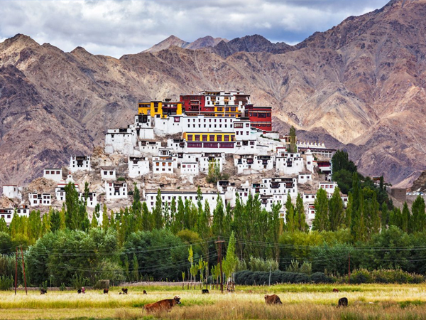 Ladakh Monasteries in Lehladakhtourism.com