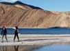 Pangong Lake Leh Ladakh 