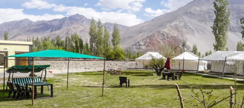 ladakh-summer-camp-nubra