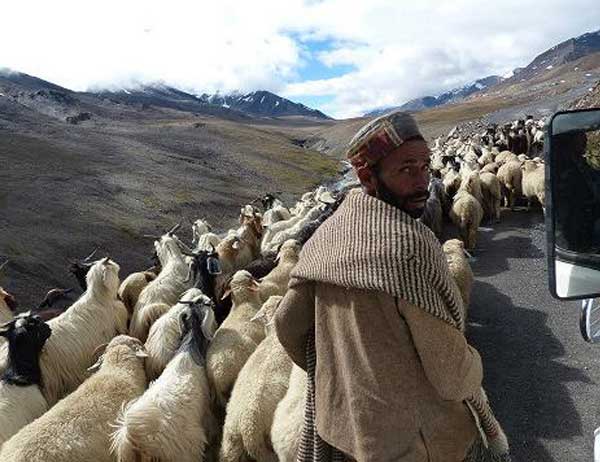 Overland to Ladakh via Aryan valle